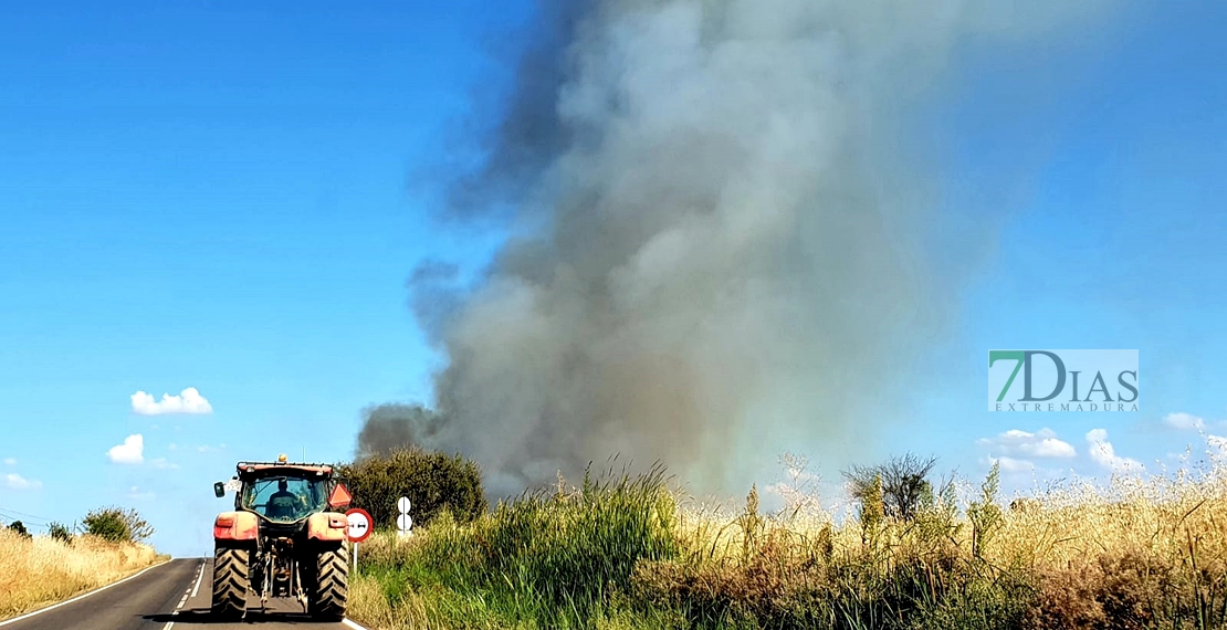 Incendio entre Gévora y Sagrajas (BA)