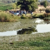 Colectivos, políticos y ciudadanos piden un río Guadiana sin camalote