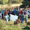 Colectivos, políticos y ciudadanos piden un río Guadiana sin camalote