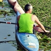 Colectivos, políticos y ciudadanos piden un río Guadiana sin camalote