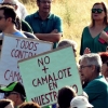 Colectivos, políticos y ciudadanos piden un río Guadiana sin camalote