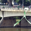 Colectivos, políticos y ciudadanos piden un río Guadiana sin camalote