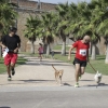 Imágenes de la Corredog 2018 II