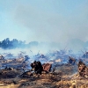 Imágenes del incendio forestal en Valdebótoa (Badajoz)