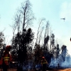 Imágenes del incendio forestal en Valdebótoa (Badajoz)