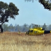 Imágenes del incendio forestal en Valdebótoa (Badajoz)