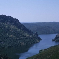 ONGS critican el programa de acción selectiva en el parque nacional de Monfragüe