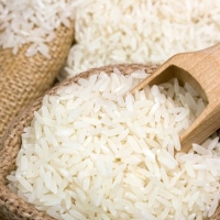 UPA denuncia el impacto de las importaciones en los precios del arroz