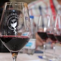 Un vino de Tierra de Barros, medalla de plata en los premios VinDuero 2018