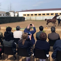 Ayudas para mejorar las escuelas de equitación tanto públicas como privadas