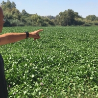 Monago a Vara: &quot;Ahora que gobierna Sánchez ¿Y la UME pa&#39; cuándo?&quot;