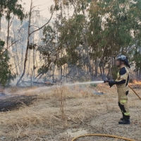 Controlado el incendio forestal cercano a Alvarado (Badajoz)