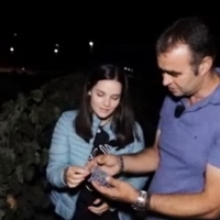 Critican a Canal Extremadura por dar una visión ‘edulcorada’ de la vendimia