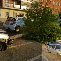 Pierde el control de su turismo y colisiona contra un árbol en Badajoz