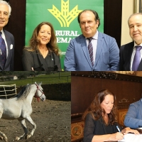 Caja Rural de Extremadura impulsa la promoción de los mejores caballos de la región
