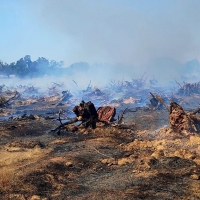 Grave incendio forestal en el COI (Valdebotoa)