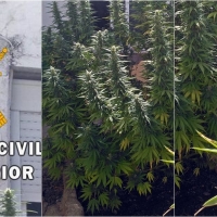 La Guardia Civil desmantela un ‘fumadero’ de marihuana en Villar del Rey