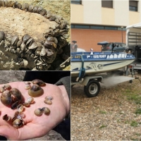 En el embalse de Alcántara se desinfectarán barcos para luchar contra el mejillón cebra