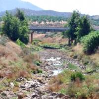 Denuncian que la CHG vuelve a no respetar el caudal ecológico del río Matachel