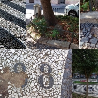 Solicitan al Ayuntamiento detalles sobre la plataforma única de San Andrés