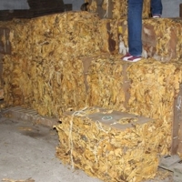 El contrabando de tabaco perjudica a Extremadura, afirma Yolanda García Seco