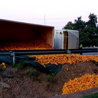 Vuelco de un camión en Villafranco del Guadiana (Badajoz)