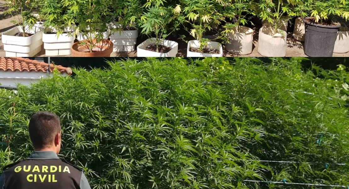 La Guardia Civil detiene e investiga a 9 personas por narcotráfico en Cáceres