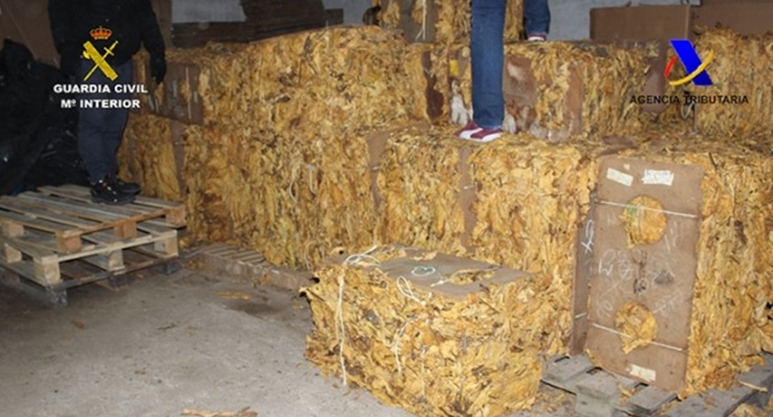 El contrabando de tabaco perjudica a Extremadura, afirma Yolanda García Seco