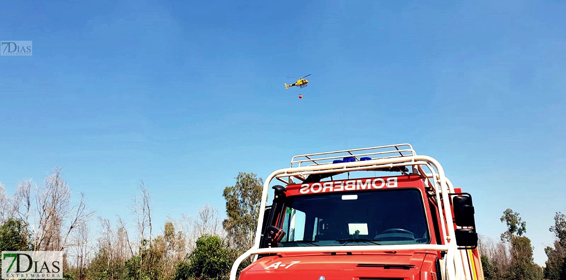 Imágenes del incendio forestal en Valdebótoa (Badajoz)