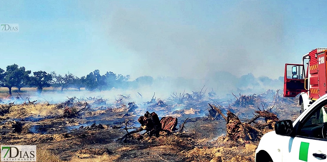 Imágenes del incendio forestal en Valdebótoa (Badajoz)