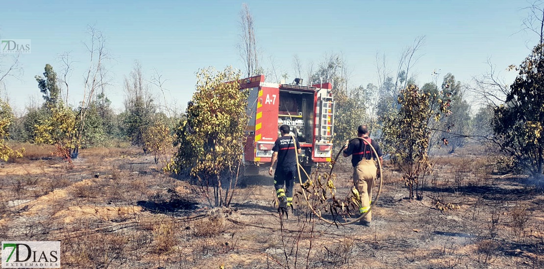 Imágenes del incendio forestal en Valdebótoa (Badajoz)