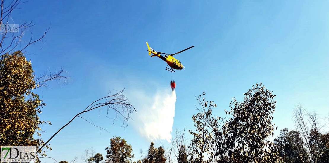 Imágenes del incendio forestal en Valdebótoa (Badajoz)