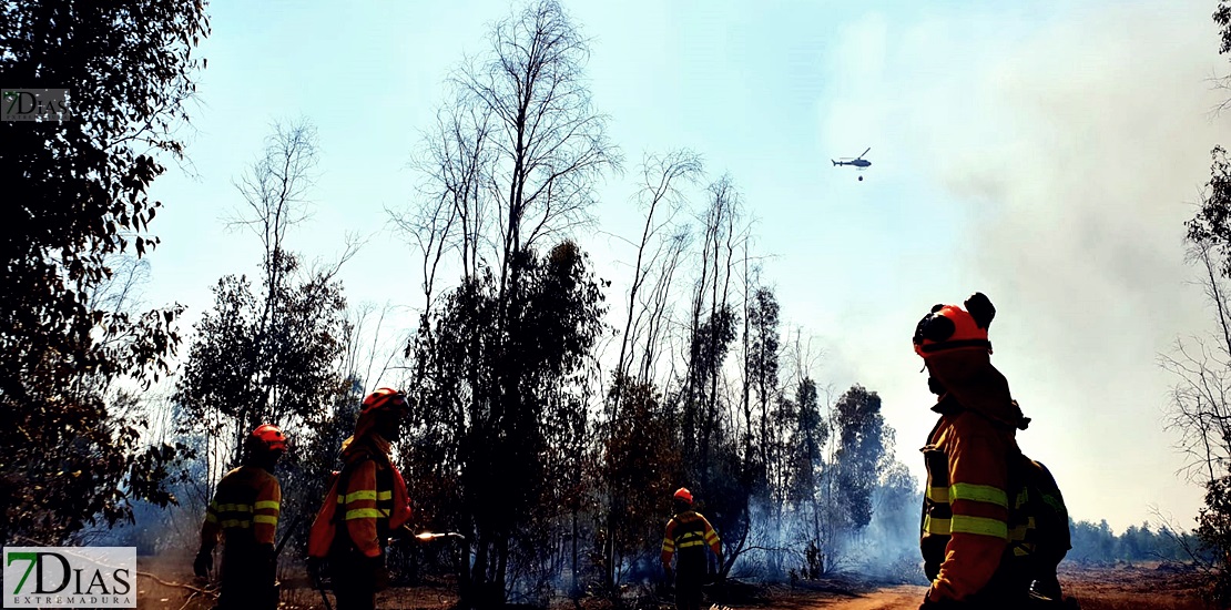 Imágenes del incendio forestal en Valdebótoa (Badajoz)