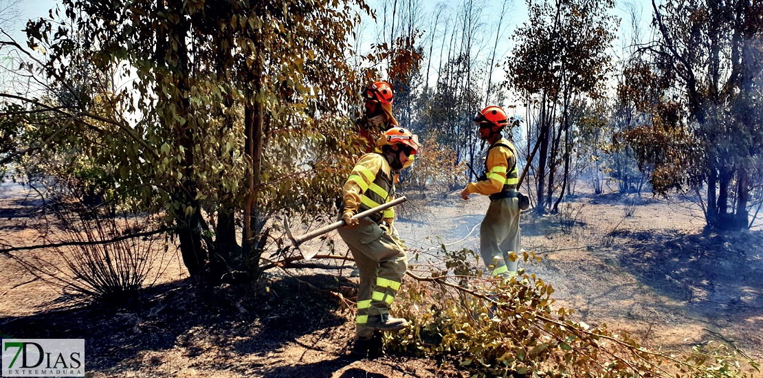 Imágenes del incendio forestal en Valdebótoa (Badajoz)