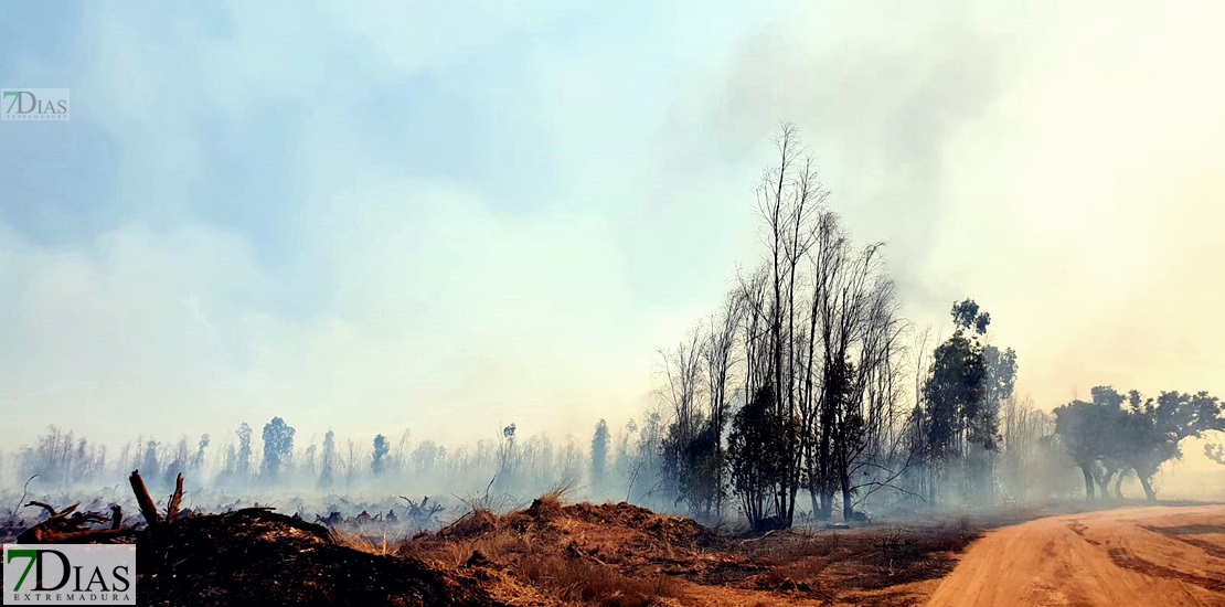 Imágenes del incendio forestal en Valdebótoa (Badajoz)