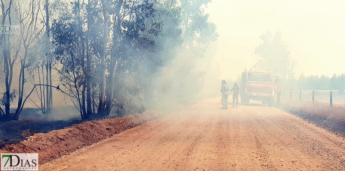 Imágenes del incendio forestal en Valdebótoa (Badajoz)