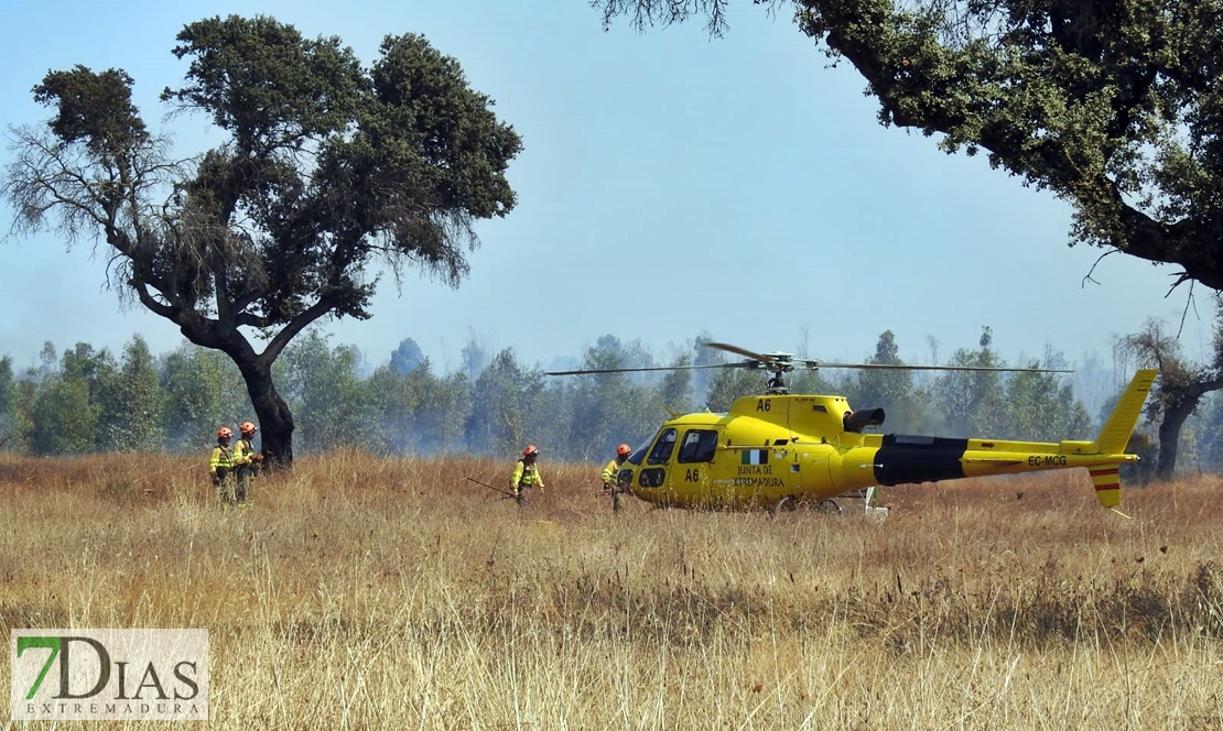 Imágenes del incendio forestal en Valdebótoa (Badajoz)