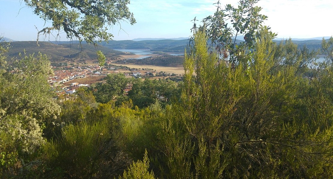 La Junta destina 2 millones para mejorar montes que no son de su propiedad