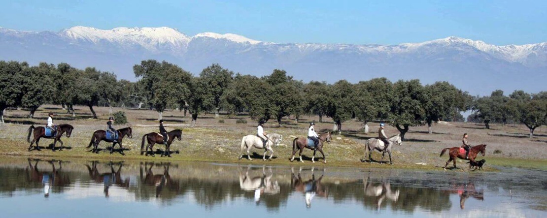 Convocatoria de ayudas para el fomento de la cría, selección y doma de caballos de silla