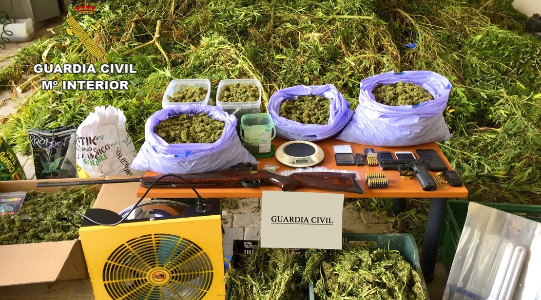 Detenido por cultivo y tráfico de marihuana