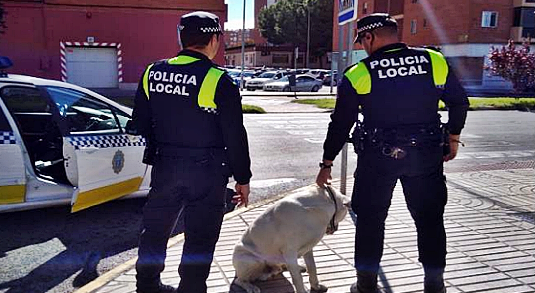 Gracias al microchip, la Policía devuelve a su dueño un perro perdido entre el tráfico