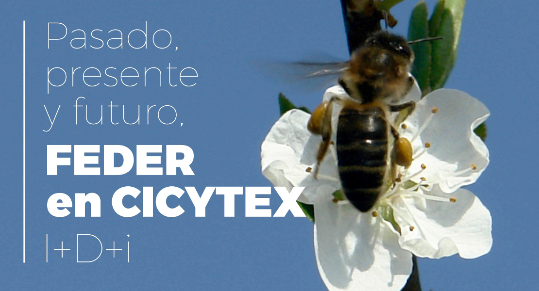 Mérida acoge una exposición sobre investigación de cultivos e innovaciones agroganaderas