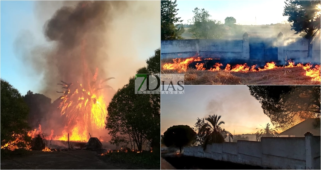 Un incendio afecta a varias parcelas en la Dehesilla de Calamón (BA)