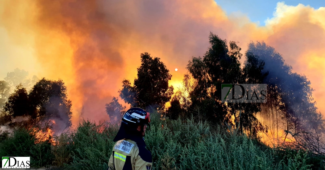 Incendio en las inmediaciones de la fábrica de Borges (Badajoz)