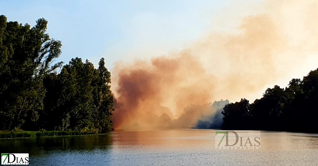 Incendio en las inmediaciones de la fábrica de Borges (Badajoz)