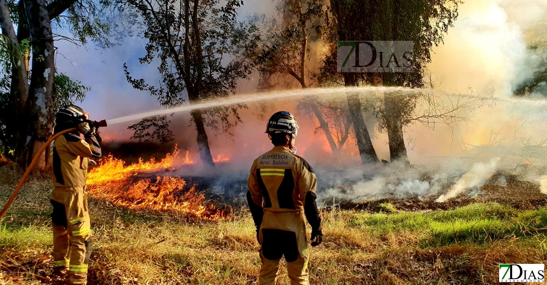 Incendio en las inmediaciones de la fábrica de Borges (Badajoz)