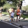 Imágenes de la 30ª Media Maratón Badajoz Elvas