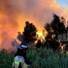 Incendio en las inmediaciones de la fábrica de Borges (Badajoz)