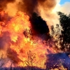 Incendio en las inmediaciones de la fábrica de Borges (Badajoz)