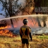 Incendio en las inmediaciones de la fábrica de Borges (Badajoz)